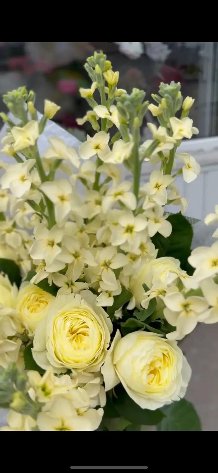 An elegant bouquet | ծաղիկներ, ծաղկեպսակներ, բույսեր Երևան
