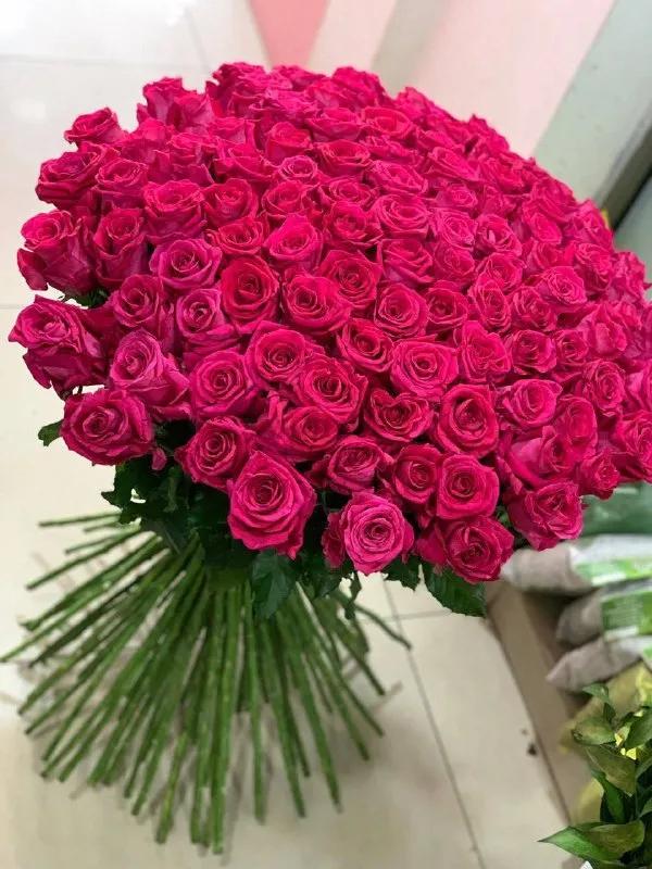 A gorgeous bouquet of roses | ծաղիկներ, ծաղկեպսակներ, բույսեր - առաքում Երևան A gorgeous bouquet of roses | ծաղիկներ, ծաղկեպսակներ, բույսեր - առաքում Երևան