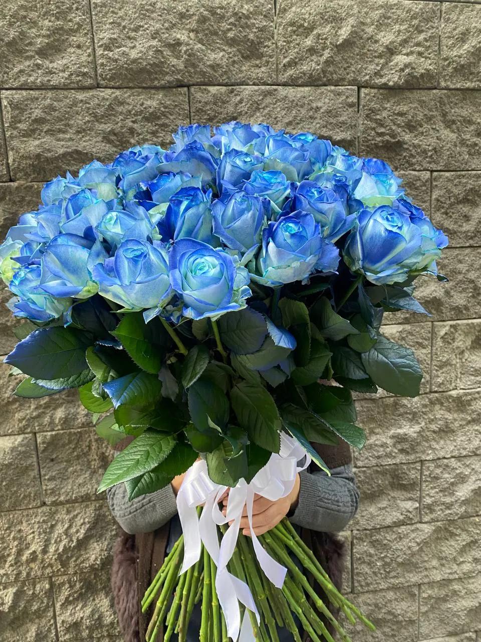 Blue Roses | ծաղիկներ, ծաղկեպսակներ, բույսեր Երևան Blue Roses | ծաղիկներ, ծաղկեպսակներ, բույսեր Երևան