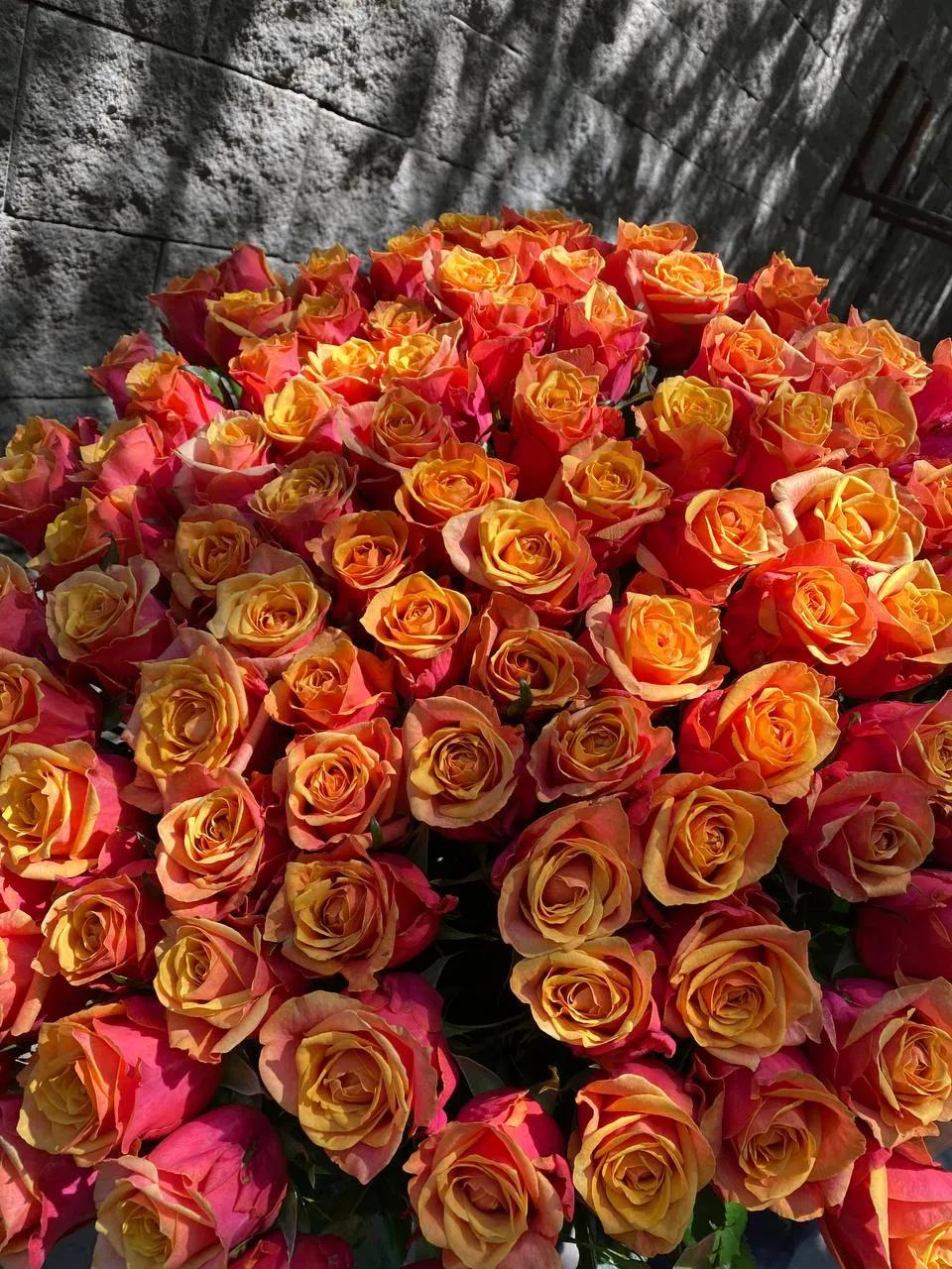 Bunch of roses | ծաղիկներ, ծաղկեպսակներ, բույսեր Երևան Bunch of roses | ծաղիկներ, ծաղկեպսակներ, բույսեր Երևան