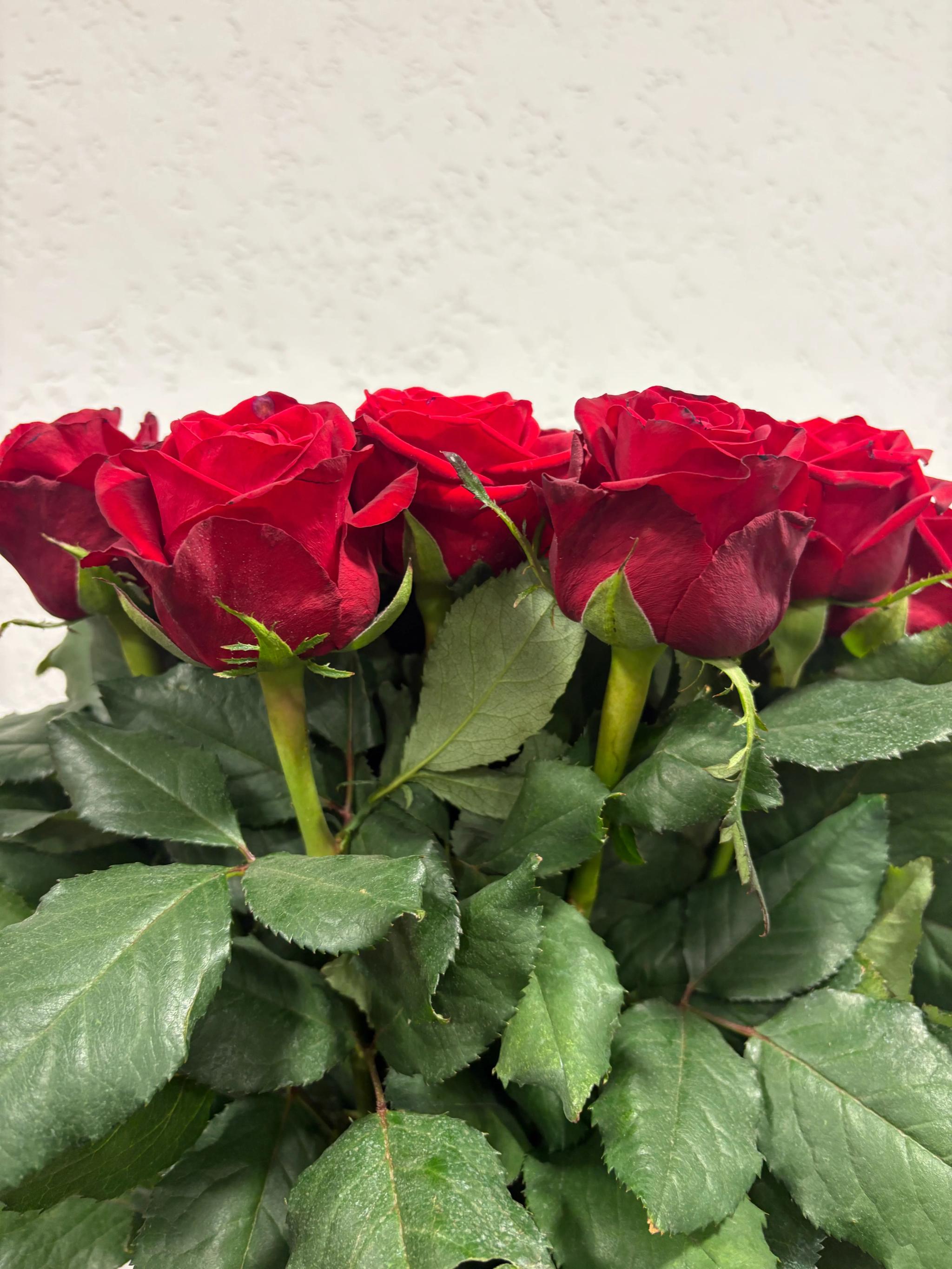 Bunch of roses | ծաղիկներ, ծաղկեպսակներ, բույսեր Երևան Bunch of roses | ծաղիկներ, ծաղկեպսակներ, բույսեր Երևան