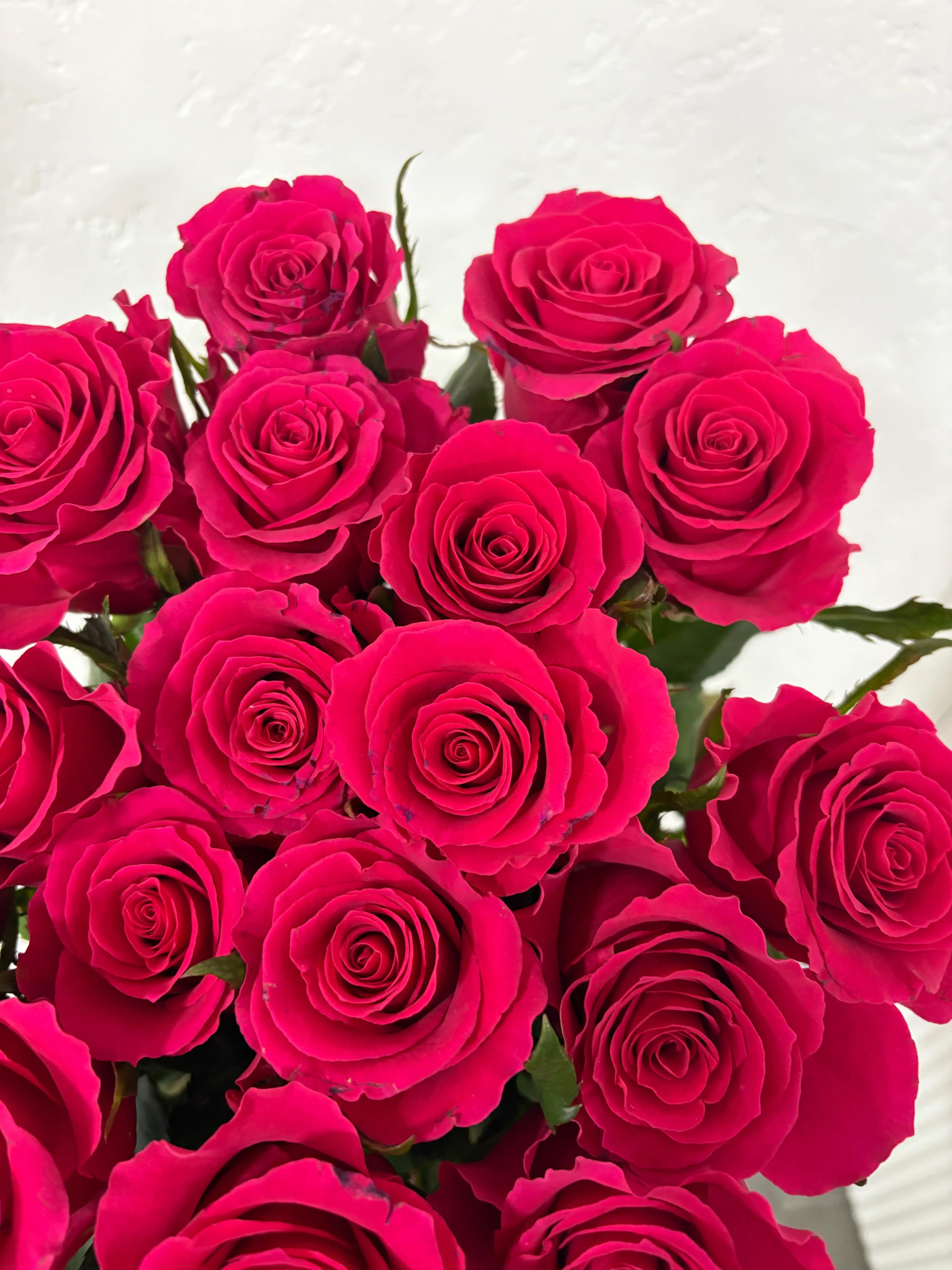 Bunch of roses | ծաղիկներ, ծաղկեպսակներ, բույսեր - առաքում Երևան Bunch of roses | ծաղիկներ, ծաղկեպսակներ, բույսեր - առաքում Երևան