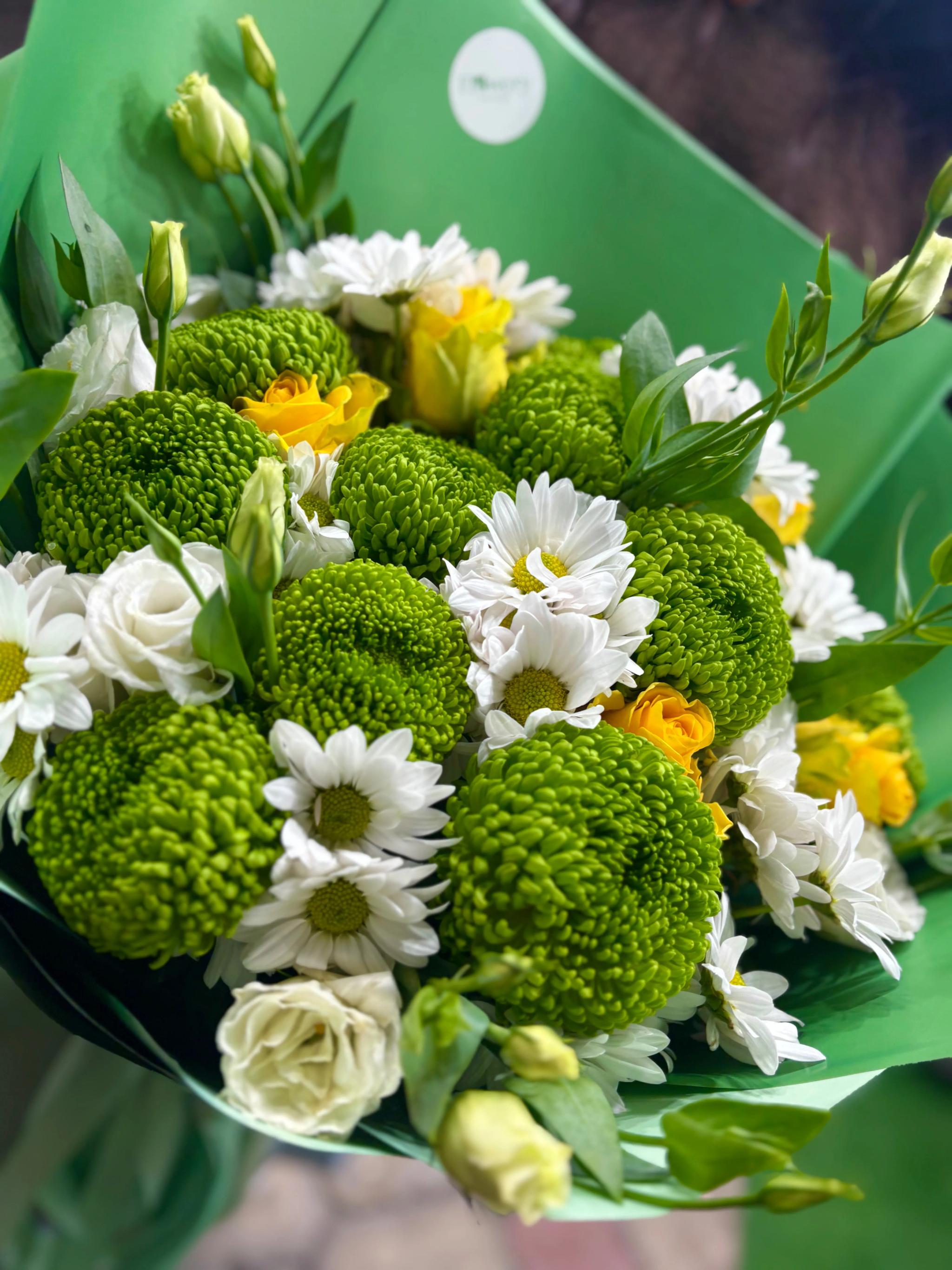 Bunch of chrysanthemums | ծաղիկներ, ծաղկեպսակներ, բույսեր Երևան Bunch of chrysanthemums | ծաղիկներ, ծաղկեպսակներ, բույսեր Երևան