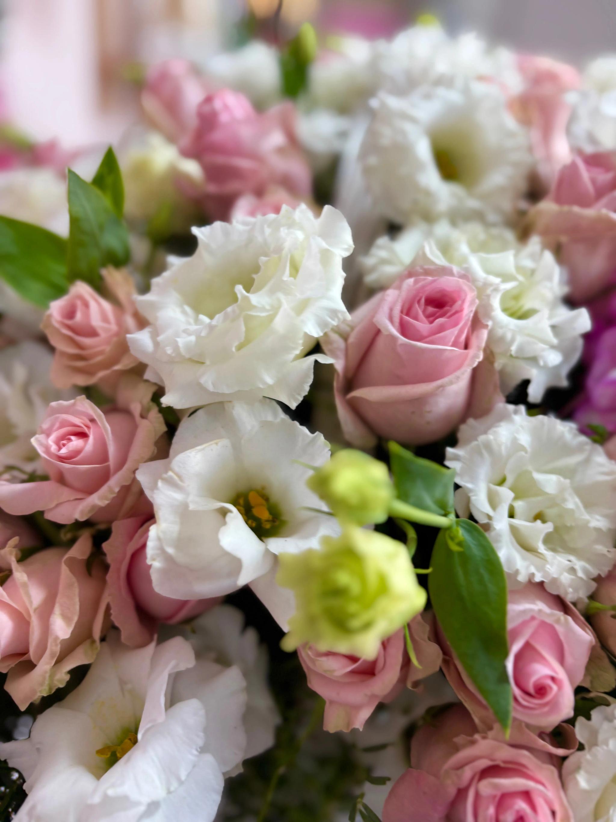 Floral mix in a basket | ծաղիկներ, ծաղկեպսակներ, բույսեր Երևան Floral mix in a basket | ծաղիկներ, ծաղկեպսակներ, բույսեր Երևան